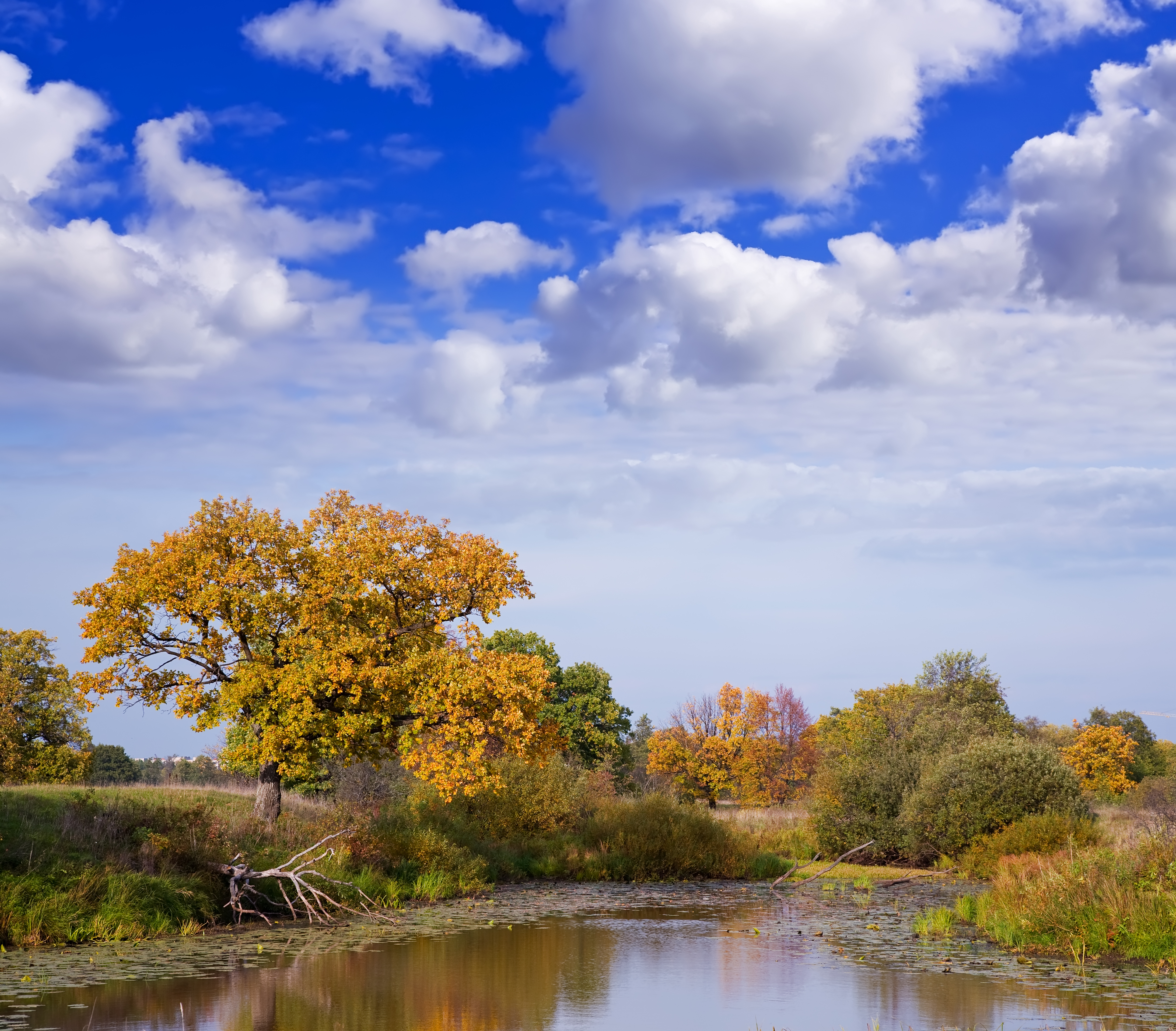 Direct Cremation in Maryland and Why Families Prefer This Option