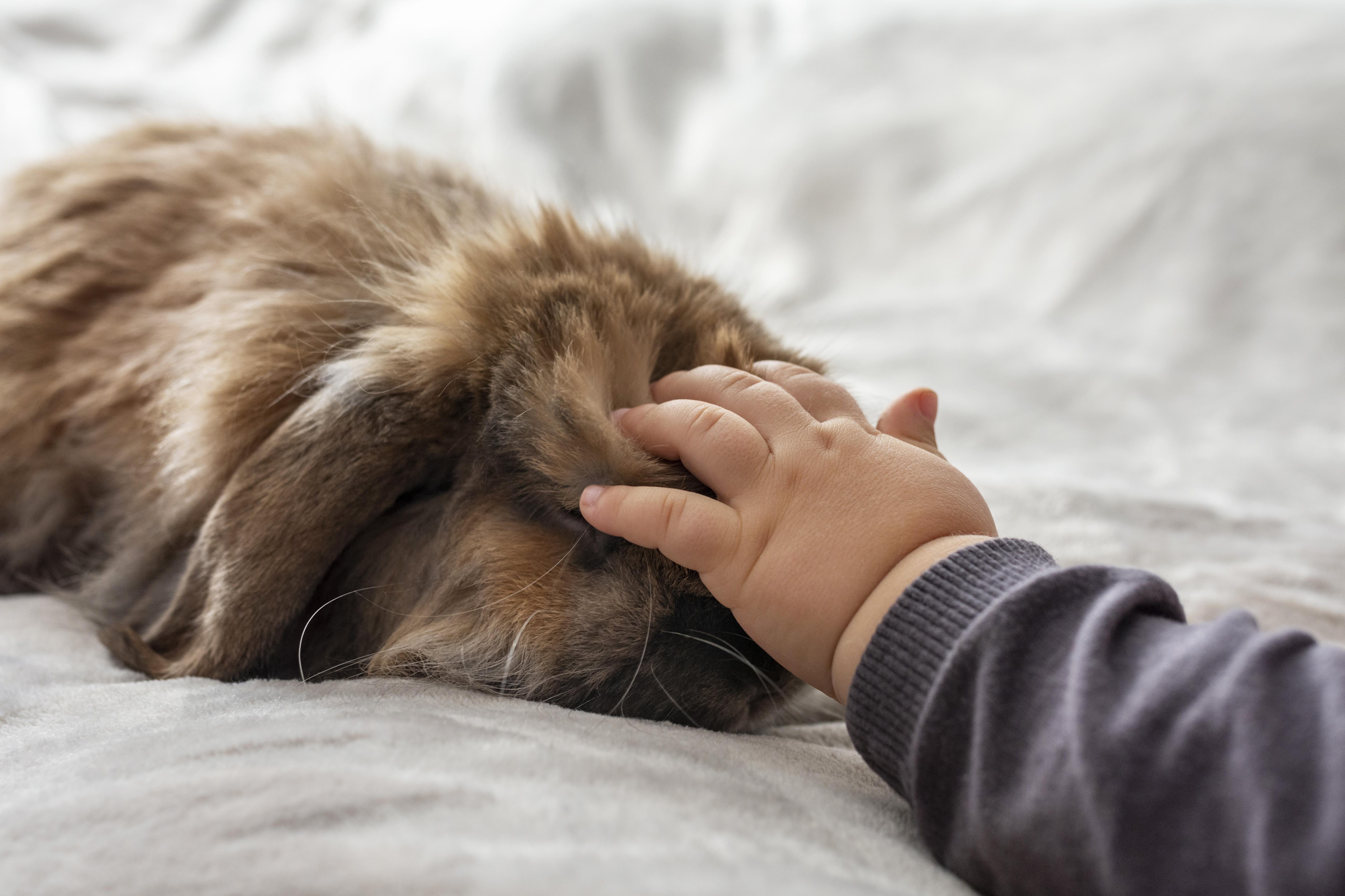 The Role of Pets in Healing from Grief