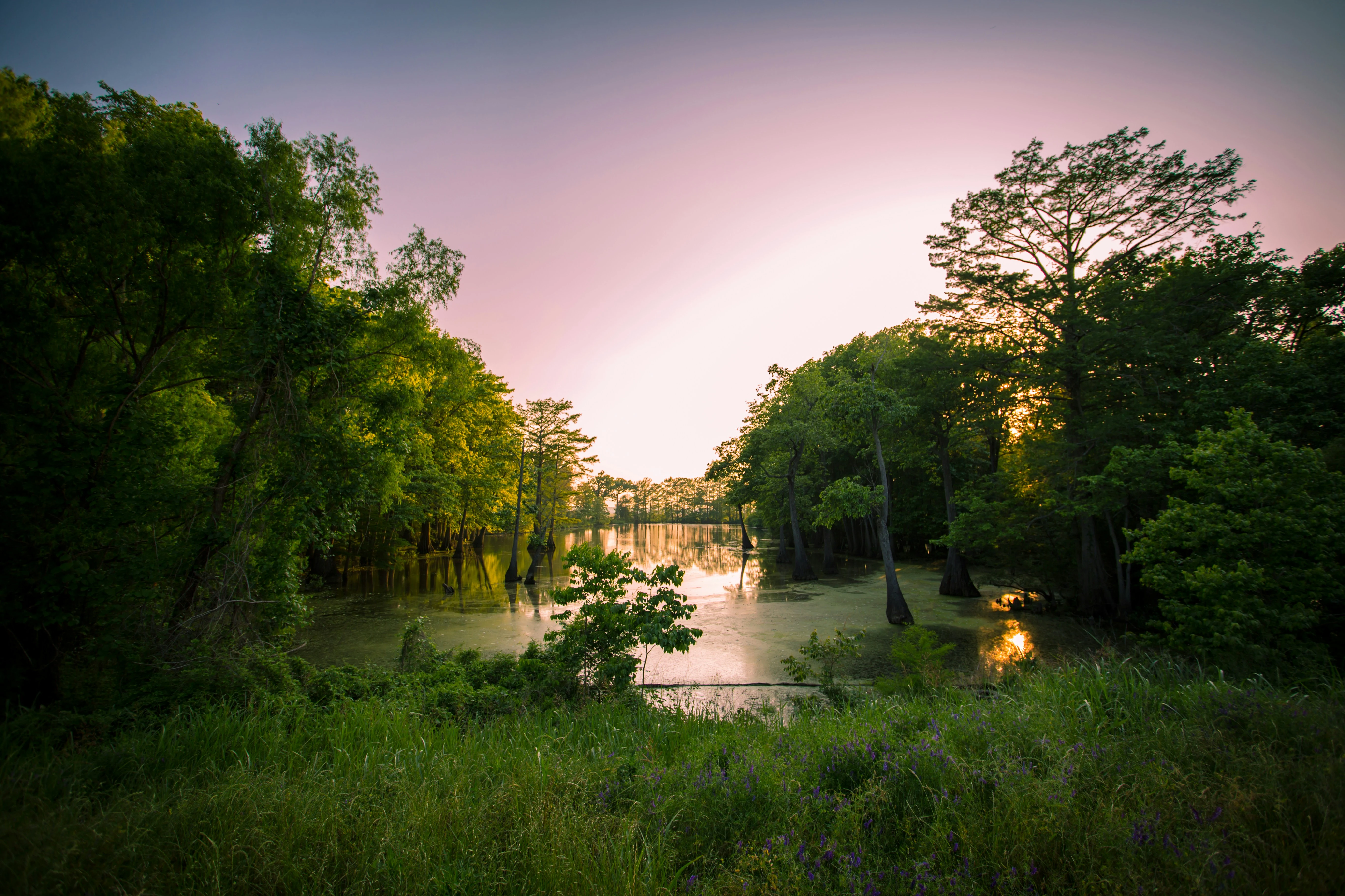 Burial or Cremation in Louisiana and Which Option Fits Your Needs