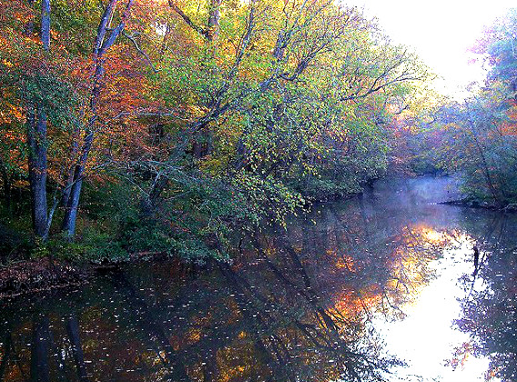 Creek Near Concord