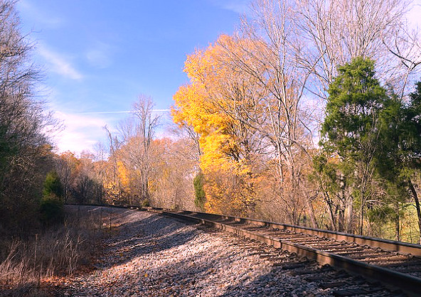 Railway Hemlock Park